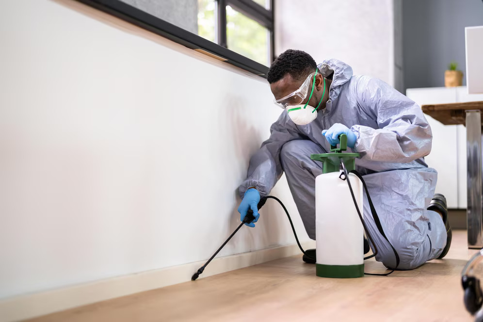 General Pest Spray