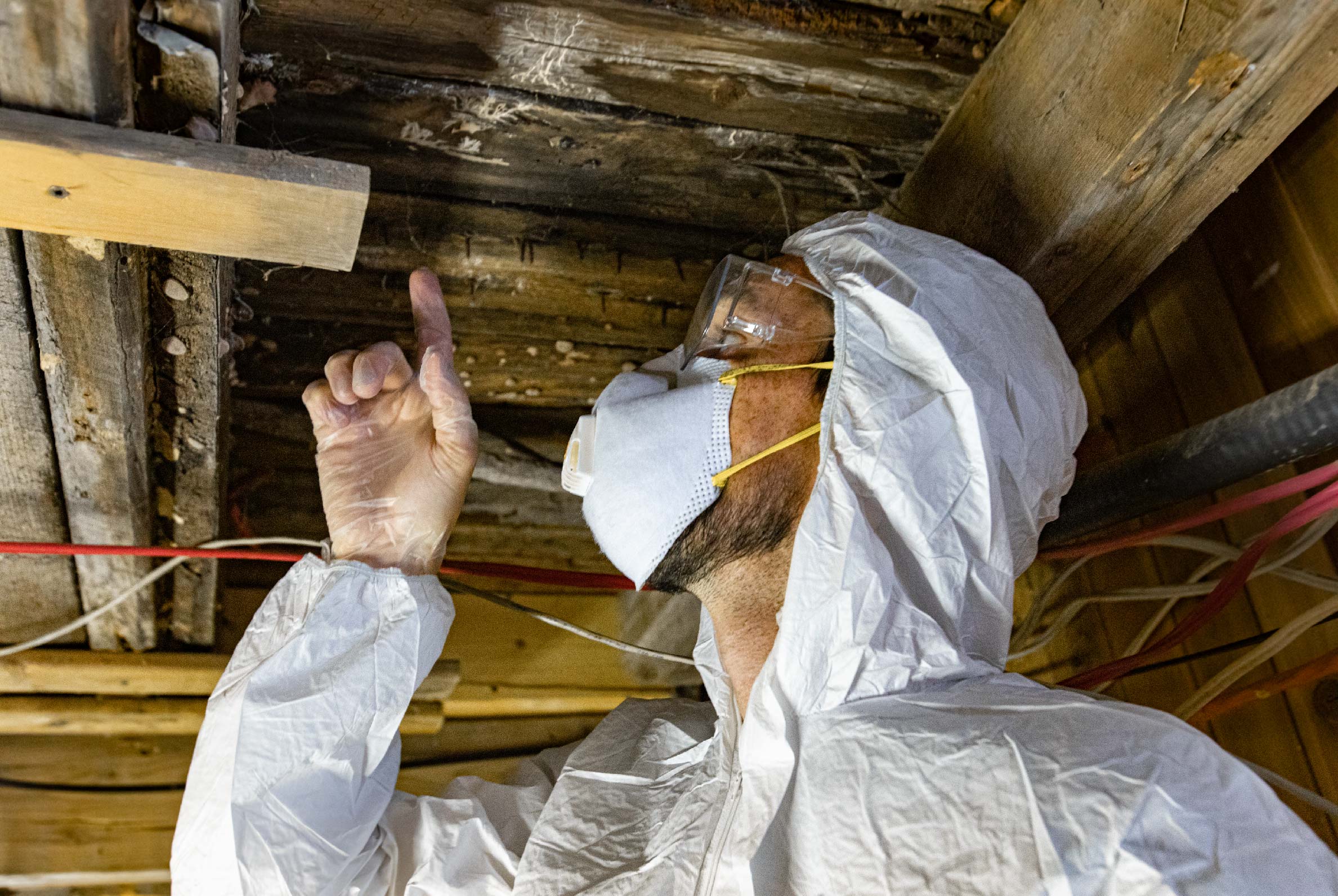 Termite Inspections