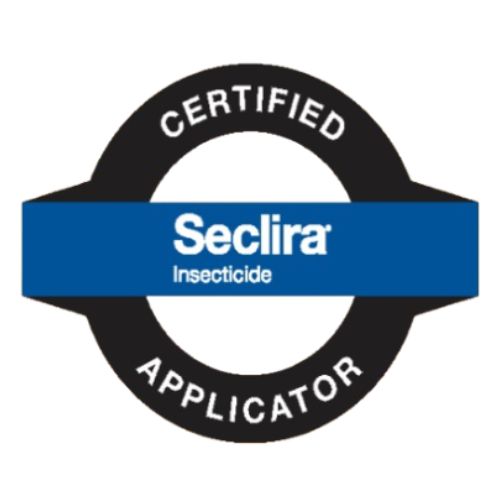 Certification 4